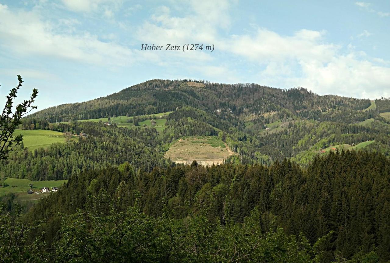 Ferienwohnungen Raczkowski Birkfeld Extérieur photo
