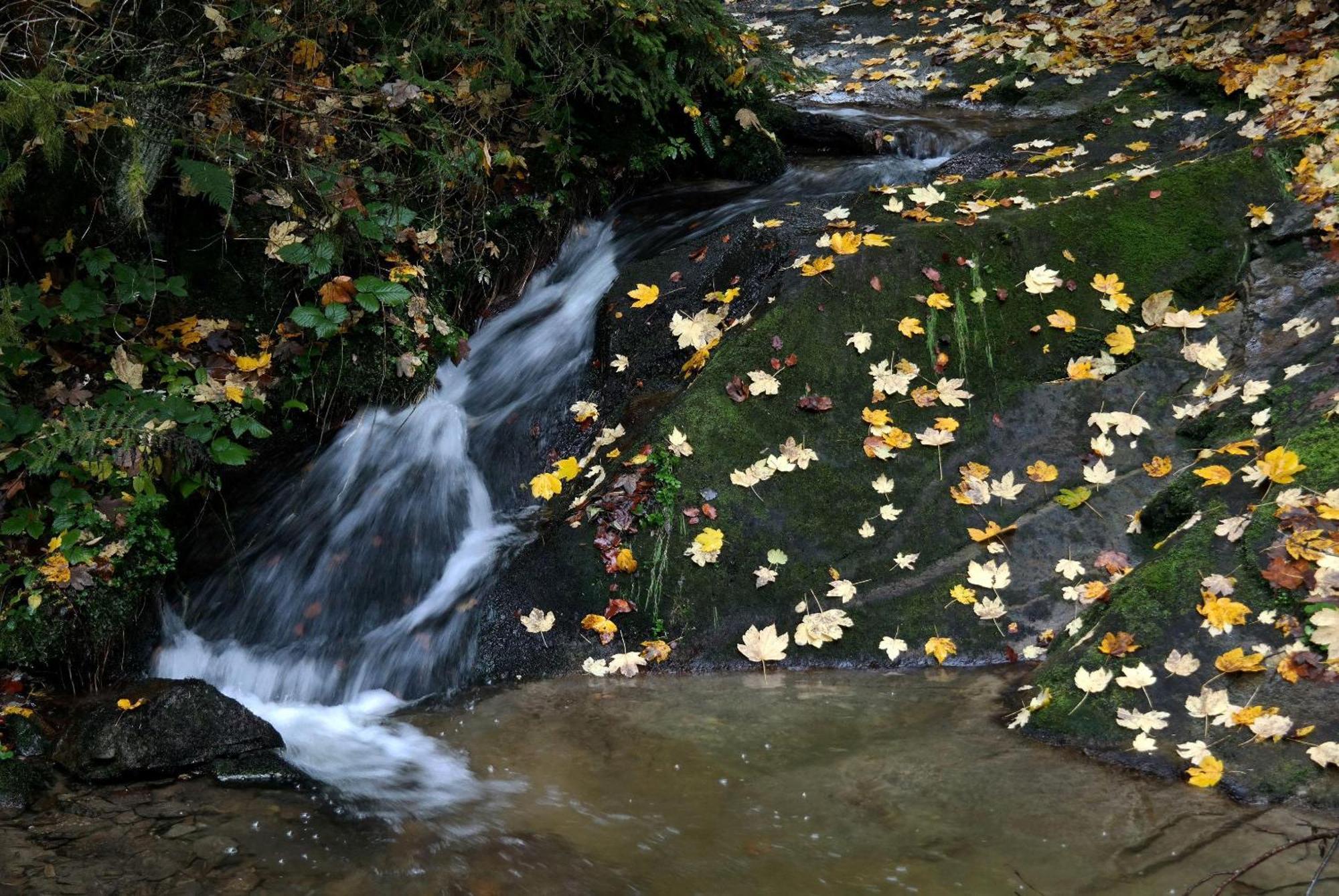 Ferienwohnungen Raczkowski Birkfeld Extérieur photo