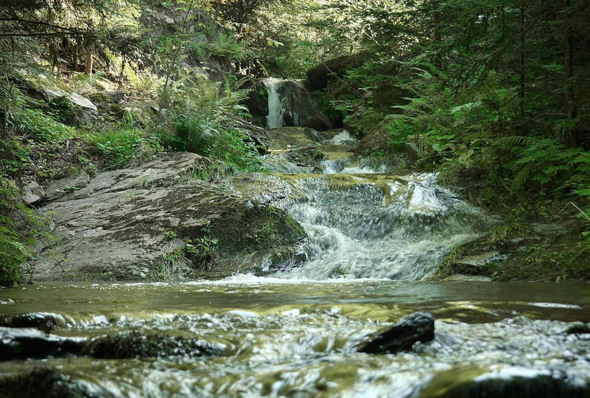 Ferienwohnungen Raczkowski Birkfeld Extérieur photo