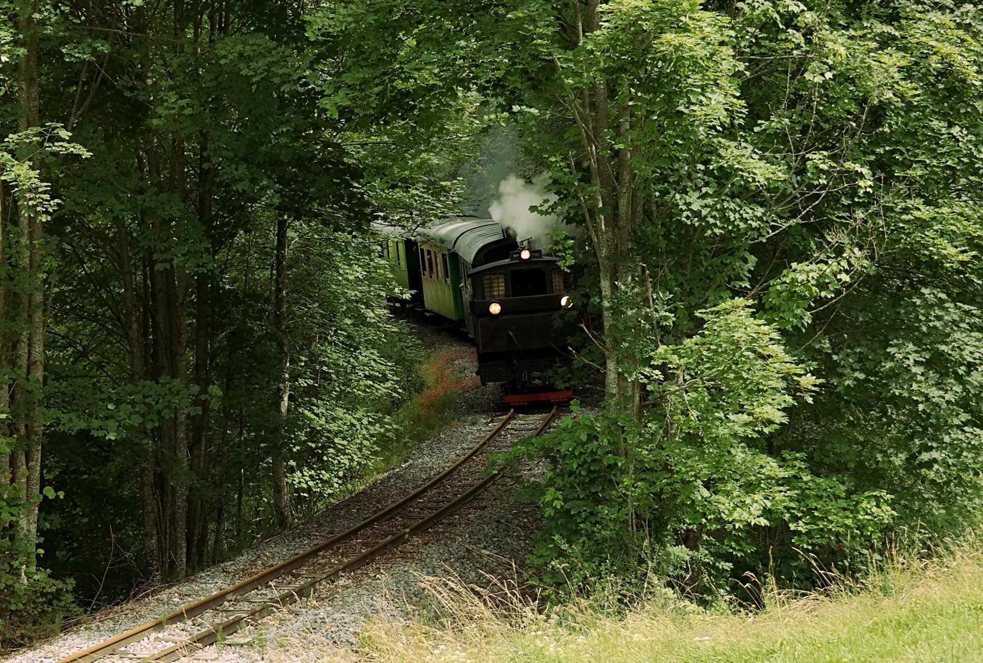 Ferienwohnungen Raczkowski Birkfeld Extérieur photo